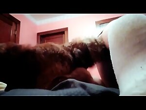 Zoofilia hardcore con cane: si scopa un grosso cane!